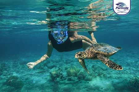 maldives Scuba Diving.jpg