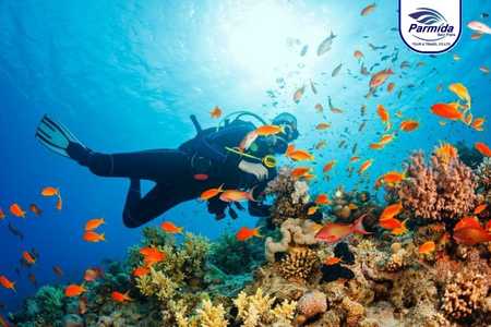 Scuba diving.jpg